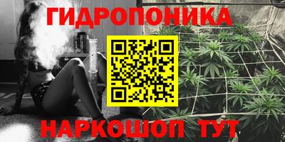 эйфоретик Партизанск