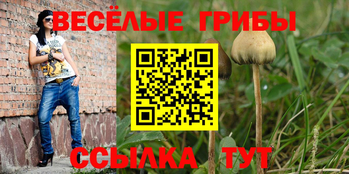 хочу наркоту  Вход с VPN  Стрежевой  Галлюциногенные грибы мицелий 
